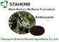 黒いBarbary Wolfberryのフルーツのエキス、飲料のための自然な食糧原料 サプライヤー