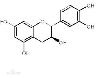 緑茶のエキスの酸化防止サプリメントのカテキン50-98%の粉 サプライヤー