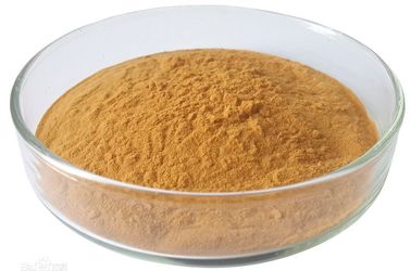 緑茶のエキスの酸化防止サプリメントのカテキン50-98%の粉 サプライヤー