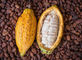 自然なココア エキスによって水分を取り除かれるフルーツの粉の食品等級のアルカリ化されたココア粉 サプライヤー
